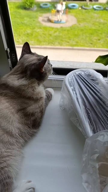 Каспер смотреть онлайн