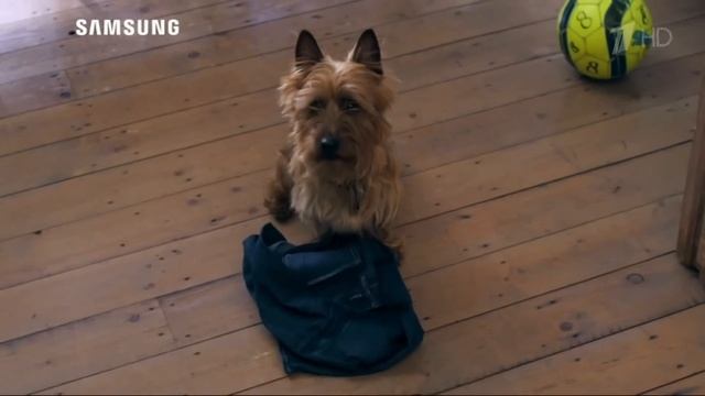 Реклама Samsung Addwash смотреть онлайн