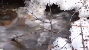 Весенняя капель