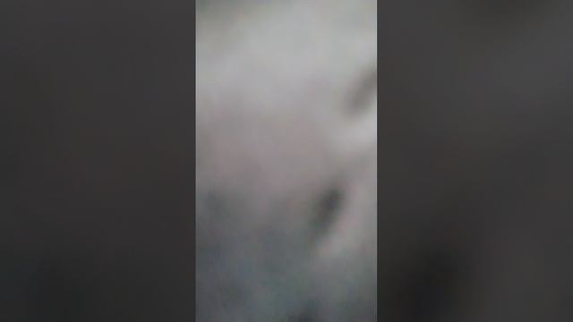 новая песня готовая Мы с подругой без мальчишек смотреть онлайн