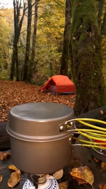 Cooking in the forest on a hike. Готовим в лесу, в походе. #hiking #cooking #shortswithoutmusic смотреть онлайн