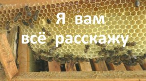 Необычное применение строительной рамки в семье пчел