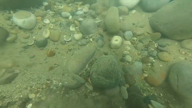 Underwater Treasure Hunting Подводный поиск без металлоискателя м? смотреть онлайн