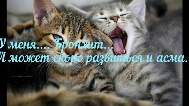 Для MonikaCat... Извени...Люблю . смотреть онлайн