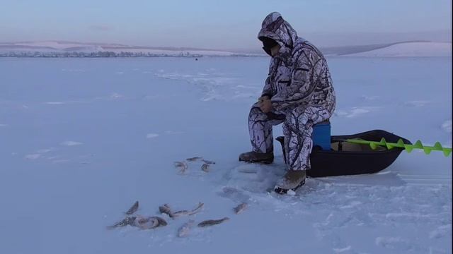 Клёвая лунка на окуня. (1) смотреть онлайн