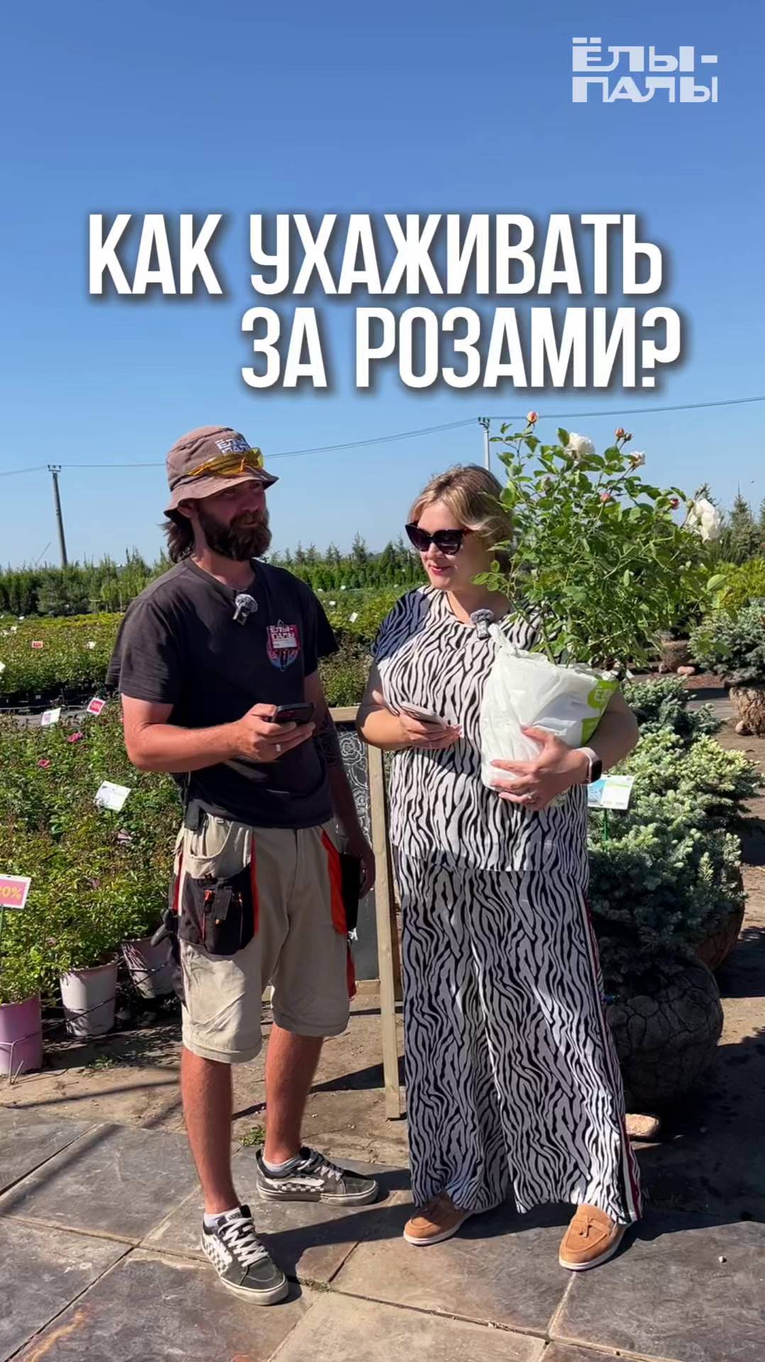 Забыли как ухаживать за розо Мы знаем что делать! Питомник ЁЛЫ-ПАЛЫ