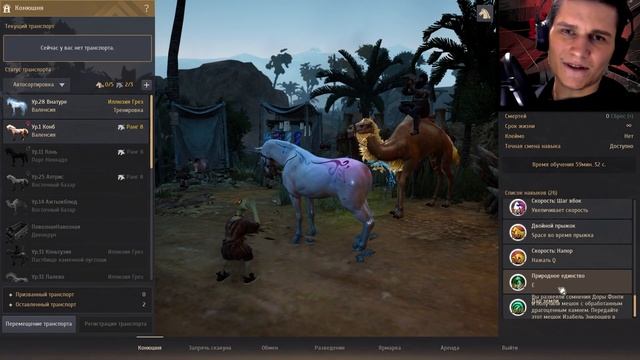 Перевоплощаем Иллюзию Грёз, единорог. Дайн. НЕ гайд. Blac