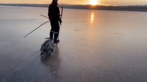 НАЛИМ штука тонкая