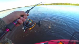 Рыбалка на спиннинг летом.Уловистая блесна для ловли щуки и окуня.