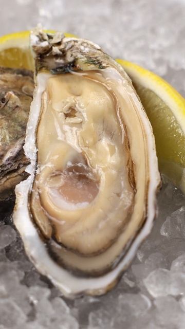 thumb-Устрица розовая Джоли Джамбо 1шт-2}