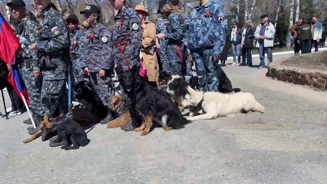 Митинг 9 мая 2024 смотреть онлайн