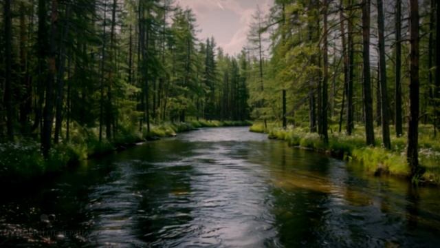 Мама ругала 9-летнюю Ксюшу за потерянный телефон. Но ко