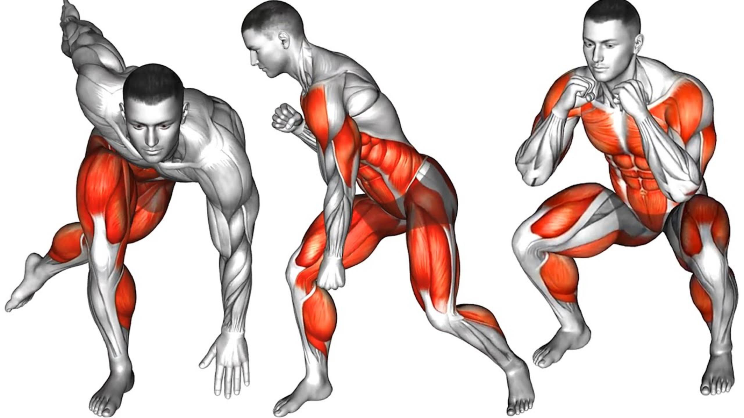 Динамическая Круговая Тренировка для похудения смотреть онлайн