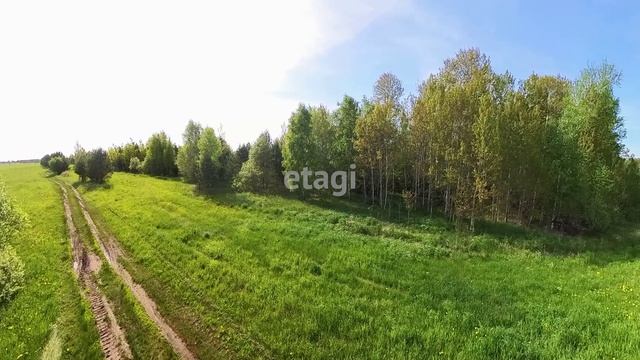 4882886 смотреть онлайн