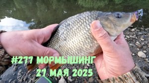 #277 Мормышинг на мелячке 27 мая 2025