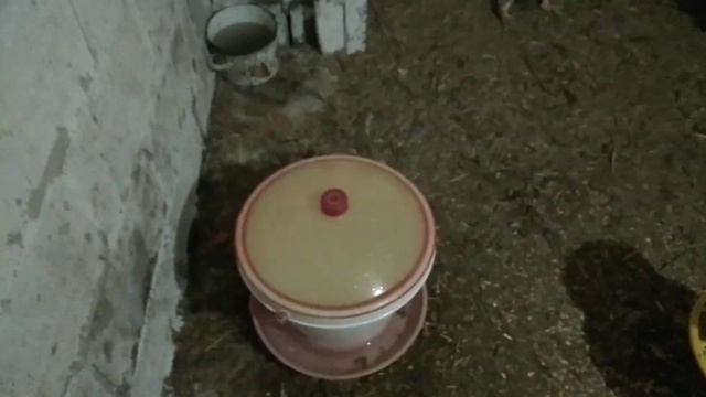 В курятнике очень сыро. Нужны перемены. смотреть онлайн