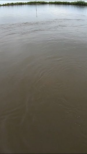 Кто это? Смотри в Телеге Я СПИННИНГИСТ