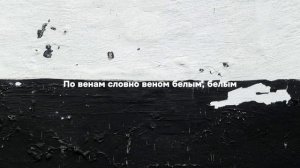 NEMIGA БЕЛЫМ 2023