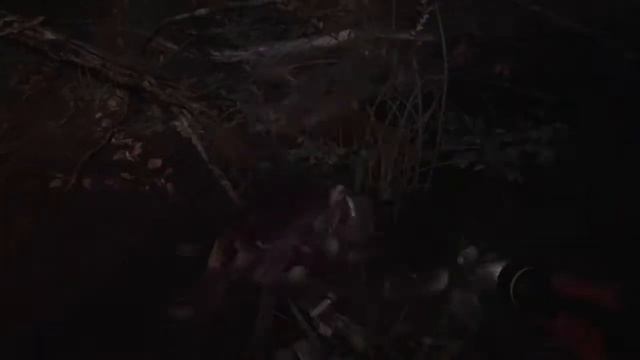 Прохождение Blair Witch(ведьма из Блэйр) #1 Поисковая операция смотреть онлайн