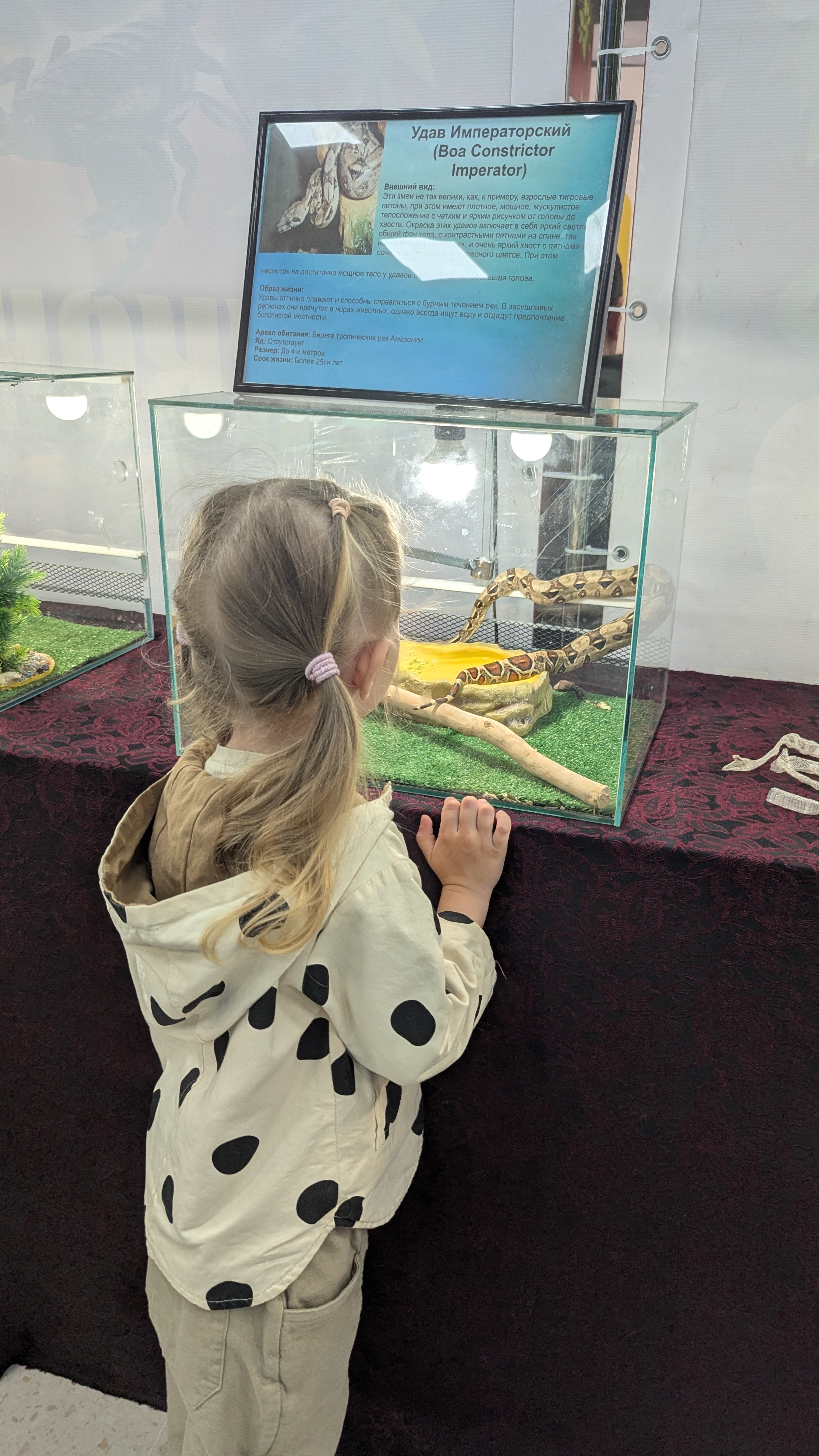 Познакомились с экзотическими животными в Краснодаре