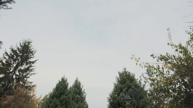 Новый Fujifilm XF16-50mmF2.8-4.8 R LM WR замена Fujifilm XF18-55mmF2.8-4 R LM OIS: ср? смотреть онлайн