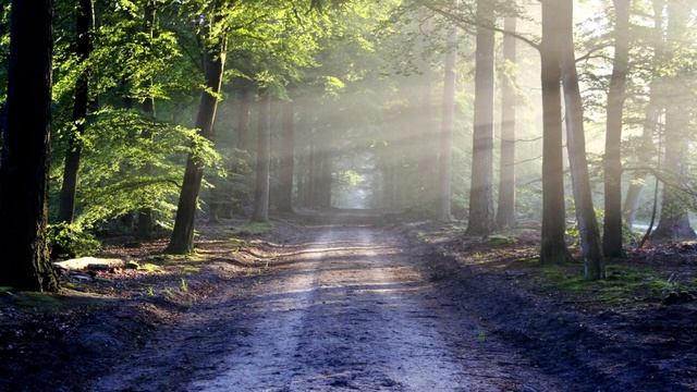 Куда же он ходит? То телефон прячет, когда звонят, то вы смотреть онлайн