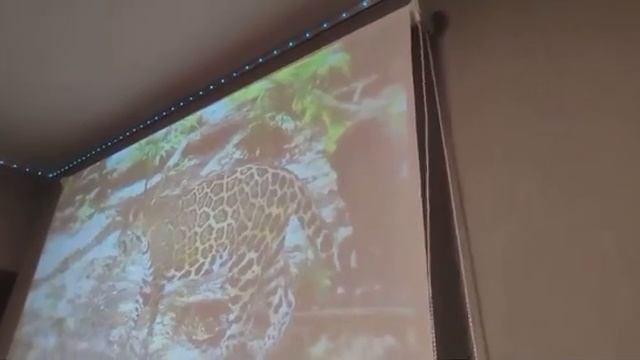 Пример экрана для проектора Gozhy смотреть онлайн