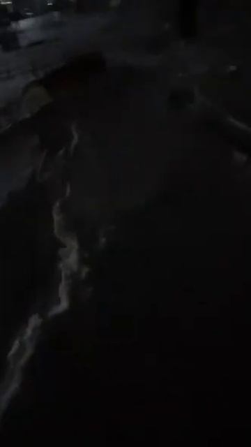 Собака лабрадор Тафгай гуляет зимой по снегу