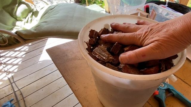 Всё закончилось хорошо. Вернулась на дачу. Любашкина радость. смотреть онлайн