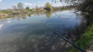 Азовские каналы 2025