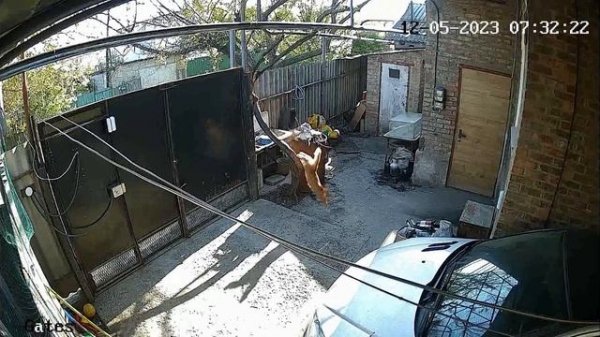 Hikvision DS PDTT15AM LM WE: ложное срабатывание | false alarm