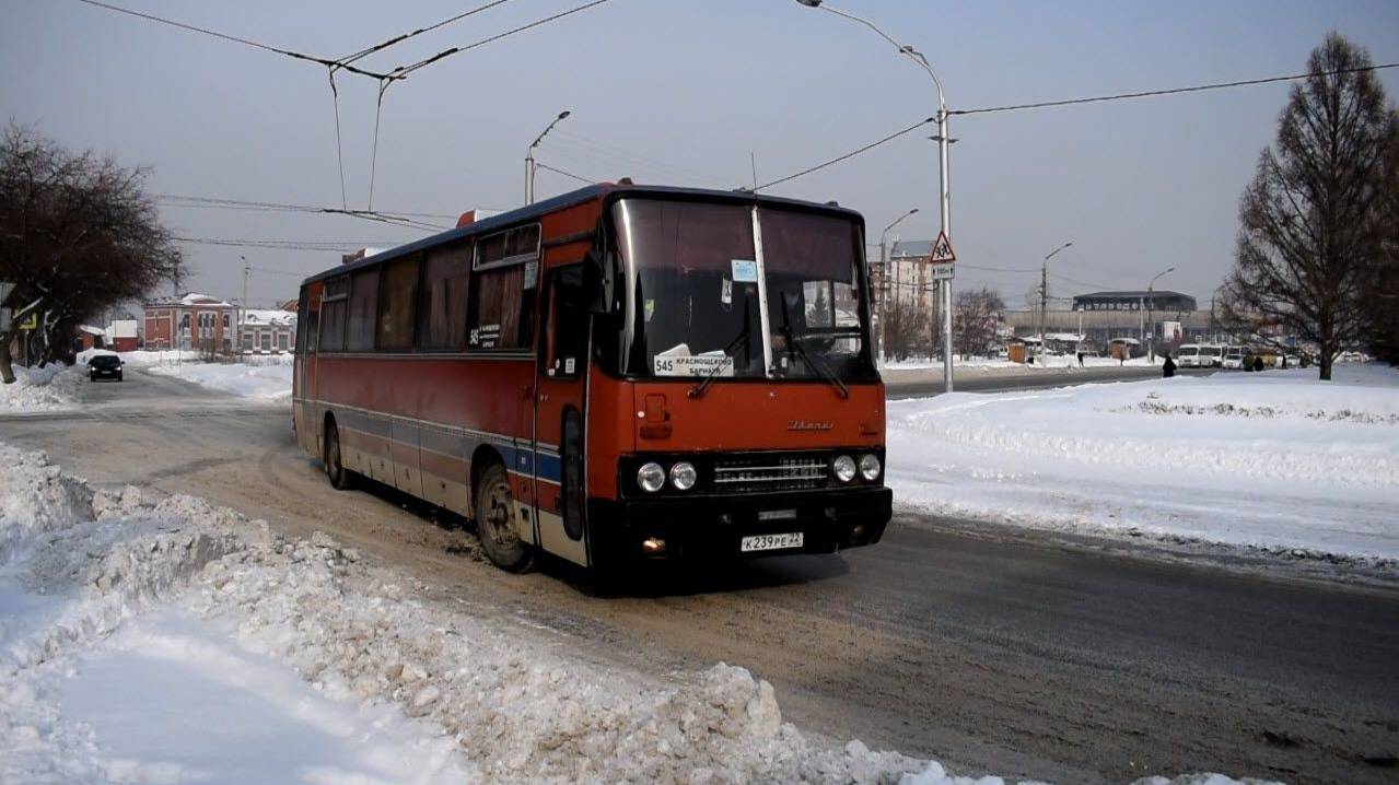 Автобус Икарус-250.59 (Ikarus 250.59) (К 239 РЕ 22) смотреть онлайн