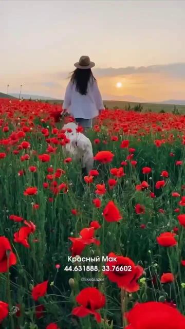 Что такое Крым? Жизнь в Крыму 😍 смотреть онлайн