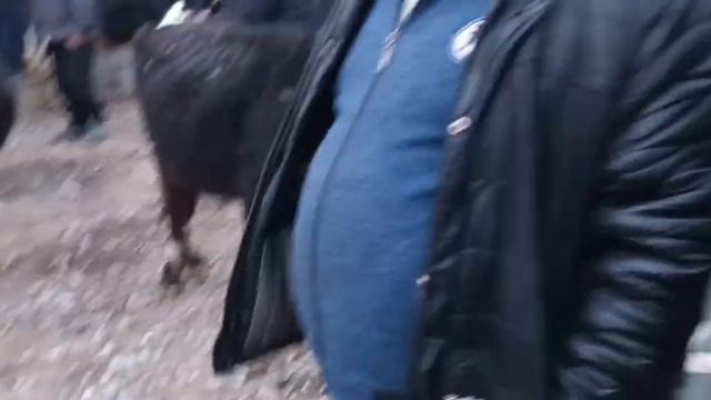 гови оча бача молбозори спитамен нов лайк ва коментар? смотреть онлайн