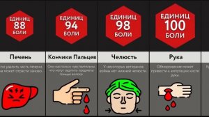 Береги Эти Части Тела!