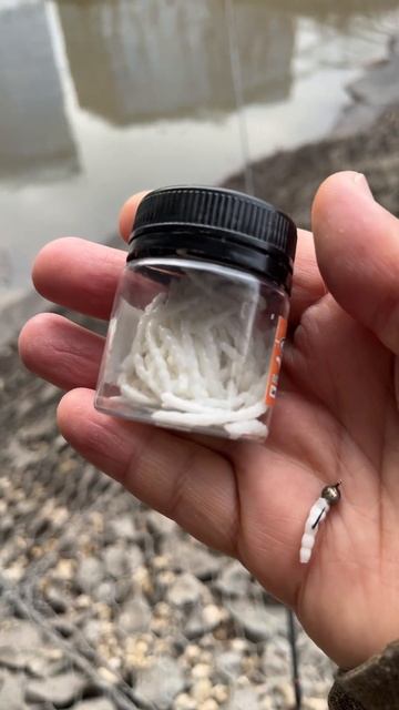 Мормышинг. Март 2024. Москва - Яуза - Ботанический сад. Мормышка 0.35гр. Белый мотыль Minoga смотреть онлайн