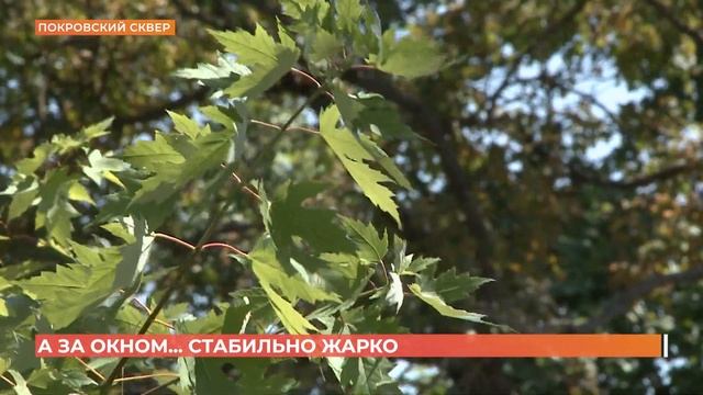 А за окном. 16 июля 2024