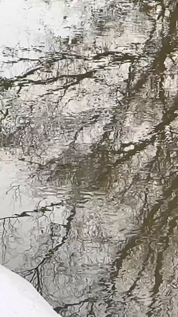 Мормышинг. Март 2024. Москва - Яуза - Ботанический сад. Река жива, рыба есть. смотреть онлайн