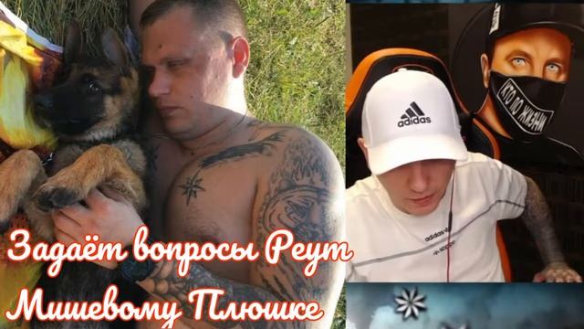 Мишевый Плюшка пополнИл Гарем петухов