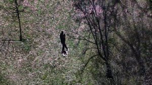 DJI NEO - МОЙ ПЕРВЫЙ ДРОН // КАЧЕСТВО СЪЕМКИ