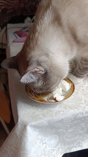 Каспер смотреть онлайн