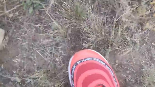 Муравьи и змеи Хотя змей там нет так что просто муравьи смотреть онлайн