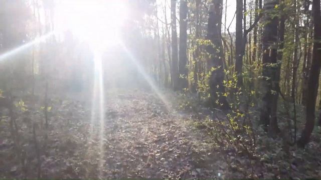 КИРОВСК - ПЕТЕРБУРГ _ ПАРГОЛОВО _ ХИП ХОП МИНУС ВЕР. 16. 12. 23 - MIX.CHAR. GO. смотреть онлайн