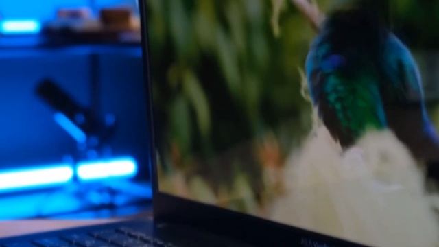 ТОП НОУТБУКОВ 2024 ДЛЯ ПРОГРАММИРОВАНИЯ смотреть онлайн