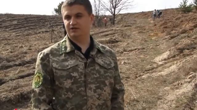 Ново ТВ от 12 04 2016г нж бел смотреть онлайн