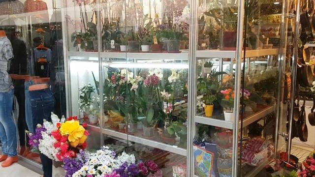 "Цветоводство", ВДНХ: внутри ТЦ смотреть онлайн