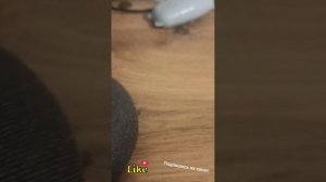 Обзор на умную колонку Маруся ВК капсула мини.