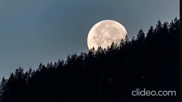 страшные истории. святое озеро огоньки перед пожаром смотреть онлайн