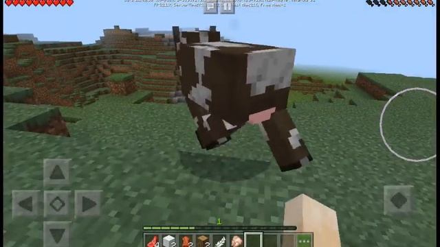 Исчезновение утки! смотреть онлайн