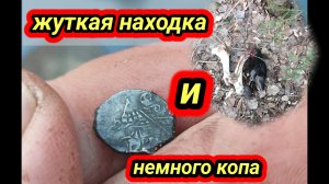 весна коп 2025